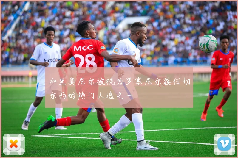 加里奥尼尔被视为罗塞尼尔接任切尔西的热门人选之一