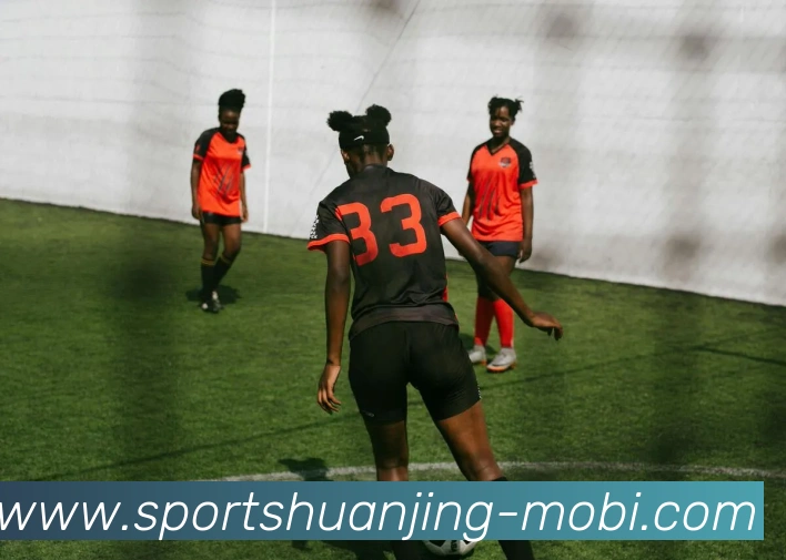 多媒体互动体验